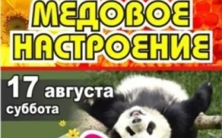 Вечеринка «Медовое настроение» в Уру-Ру