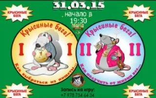 «Крысиные бега» в Севастополе