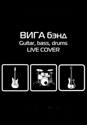 Музыкальная среда в «Атриуме»: группа «ВиГа бэнд» 26 февраля 2014