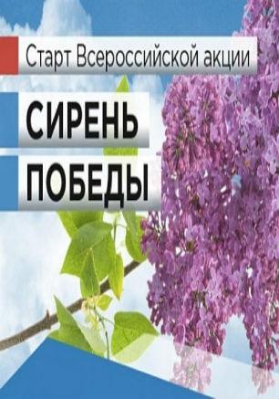 I этап Всероссийской акции «Сирень Победы» в Севастополе