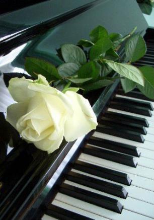 Ярина Погонец (фортепиано) в ресторане «Лаванда» ​4 октября 2014