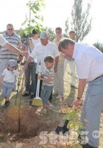 Создание «Аллеи Славы» в сквере имени Ивана Голубца – 09 ноября 2013