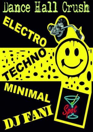 Вечеринка DanceHallCrush с Dj Fani в баре Spot 1 февраля 2014
