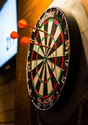V турнир сезона 2012/2013 по дартсу