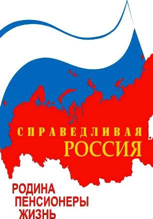 Заседание Совета Палаты депутатов политической партии «Справедливая Россия»