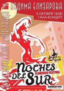 Гала-концерт фестиваля фламенко Noches del Sur