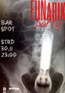 Вечеринка FUNarik party в баре Spot - 30 ноября 2013