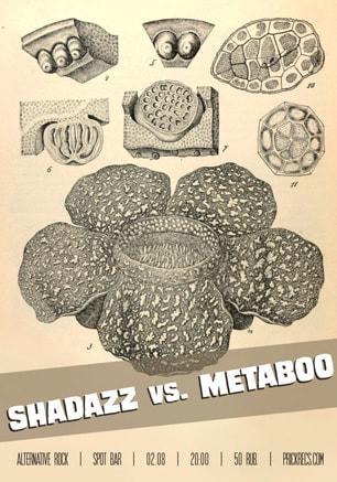 Концерт групп «Shadazz» и «Metaboo» в баре Spot