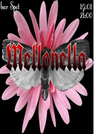 Вечеринка с группой «Mellonella» в баре Spot - 19 января 2014