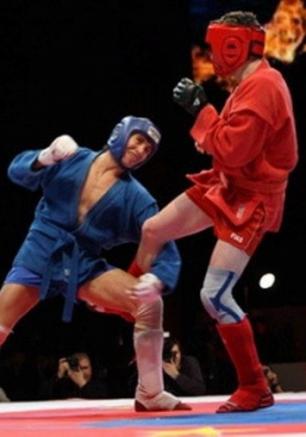 Чемпионат Украины по спортивному и боевому самбо среди юниоров