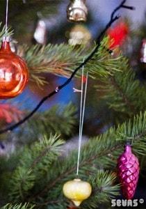 Концерт «Рождественский вечер» в Матросском клубе - 08 января 2014