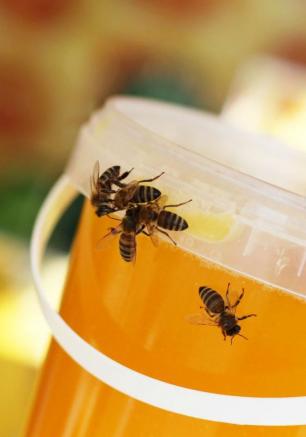 Всероссийский фестиваль мёда. Открытие ярмарки