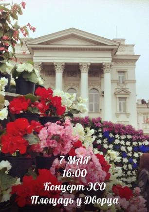 Концерт народного молодёжного эстрадно-симфонического оркестра 