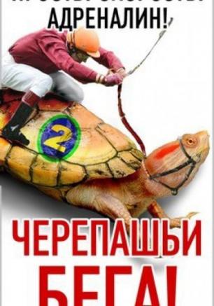 Черепашьи бега