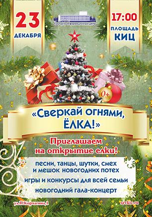 Открытие главной ёлки Гагаринского района
