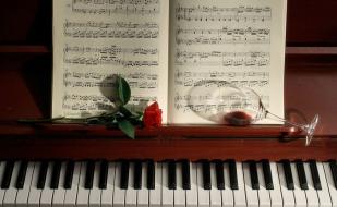 Ярина Погонец (фортепиано) в ресторане «Лаванда» ​4 октября 2014