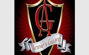 Группа Annie`s Guard в Quick Bee Bar 22 ноября 2013