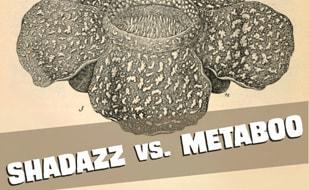 Концерт групп «Shadazz» и «Metaboo» в баре Spot