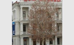 Отчётный концерт Детской филармонии Дома Москвы 20 декабря 2013