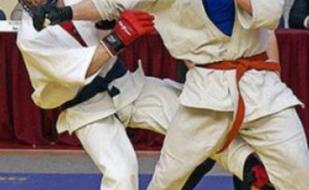 Чемпионат Управления МВД Украины в Севастополе по рукопашному бою