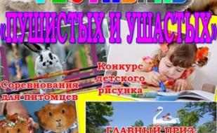 Большой фестиваль «Пушистых и Ушастых»