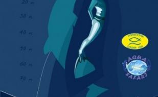 IV Всеукраинский фестиваль фридайвинга