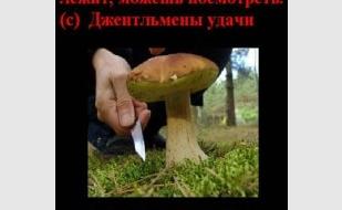 Мафия от Club SICILIA в «Лумумбе» 7 ноября 2013