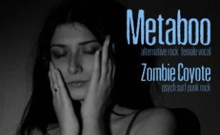 Группы Metaboo & Zombie Coyote в баре Spot 