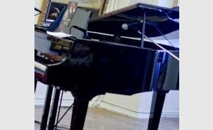 Концерт классической музыки «Осенний листопад» в музее Крошицкого