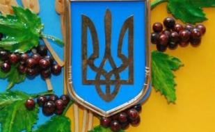 Торжественное собрание и праздничный концерт ко Дню Соборности Украины 22 января 2014