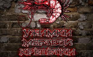 Группа «Ужимки мёртвой креветки» в 3D клубе «Красомир» 18 октября 2014