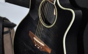 Тургенев-band, Батарея Раевского и стихи Евгении Барановой