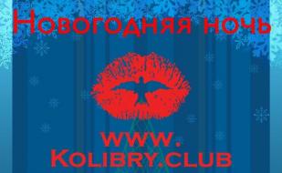 Вечеринка «Новогодняя ночь» в Kolibry club