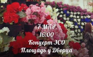 Концерт народного молодёжного эстрадно-симфонического оркестра 