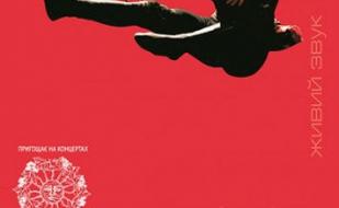 Концерт Национального балета Грузии «Сухишвили» 13  февраля 2014