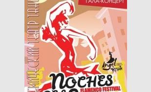 Гала-концерт фестиваля фламенко Noches del Sur