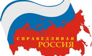 Заседание Совета Палаты депутатов политической партии «Справедливая Россия»