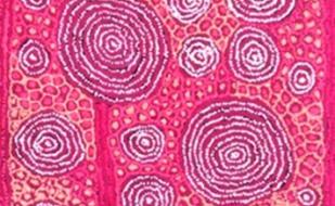 Концерт проекта Два дерева