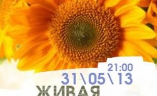 ЖИВАЯ ПЯТНИЦА в Lounge Cafe MONTANA 31 мая 2013