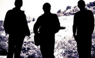 Группа "Black flowers"