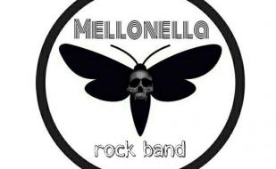 Концерт группы Mellonella арт-клубе  «Артишок»