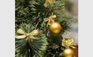 Рождественская ёлка Севастопольского благочиния 8 января 2014