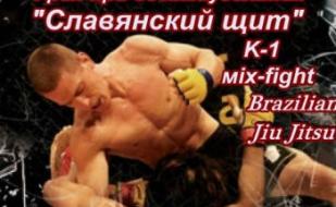 Финал международного гран-при «Славянский щит» 23 февраля 2014