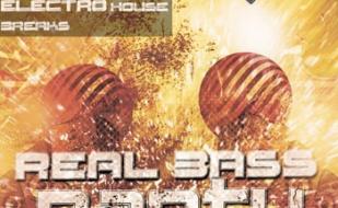 Вечеринка «Real Bass Party» в баре Spot - 18 января 2014