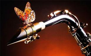 Виктор Кравчук (саксофон) в ресторане «Абордаж» 12 апреля 2014