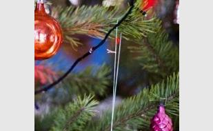 Концерт «Рождественский вечер» в Матросском клубе - 08 января 2014