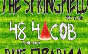 Вечеринка в bar Spot: THE SPRINGFIELD, 48 Часов, Вне правил