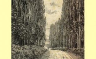 Выставка "Южный берег Крыма XIX-XX веков в цинкографиях русского художника Николая Хохрякова"