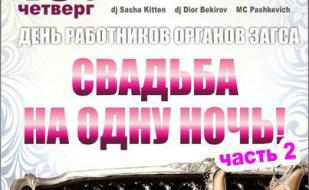 Вечеринка ​«Свадьба на одну ночь» в ночном клубе Butterfly 18 декабря 2014