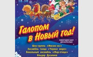 Новогоднее шоу «Галопом в Новый год» в СЦКиИ – декабрь 2013